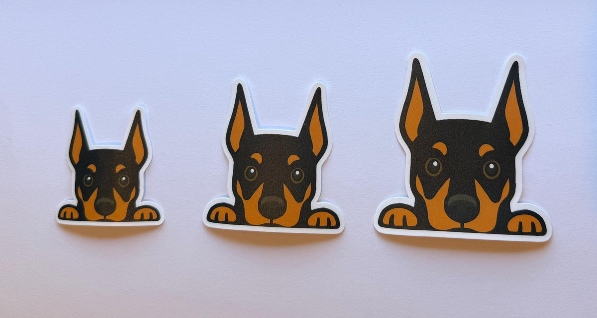 Dobermann Peeking Sticker