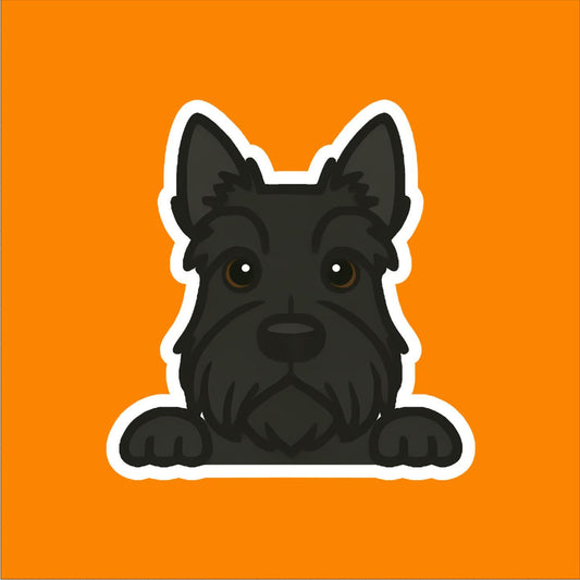 Scottish Terrier Peeking Sticker