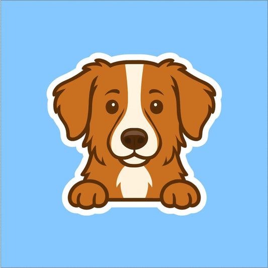 Nova Scotia Duck Tolling Retriever Sticker