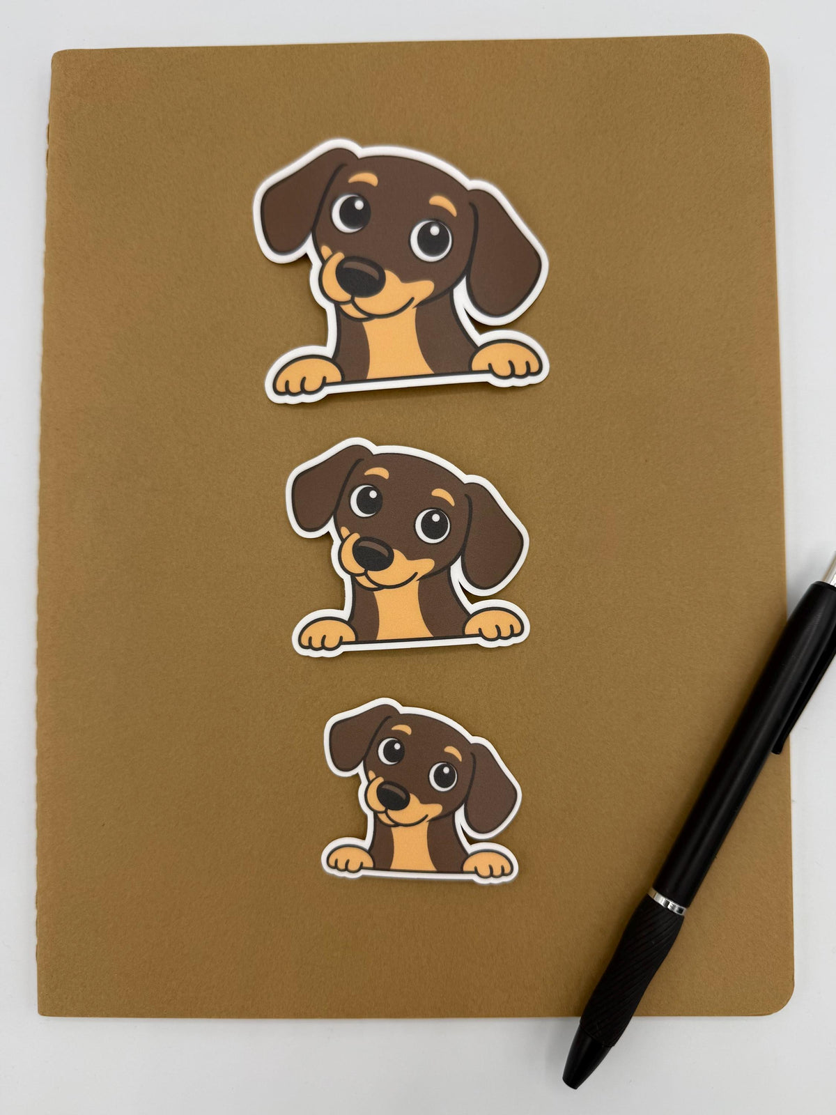 Dachshund Peeking Sticker