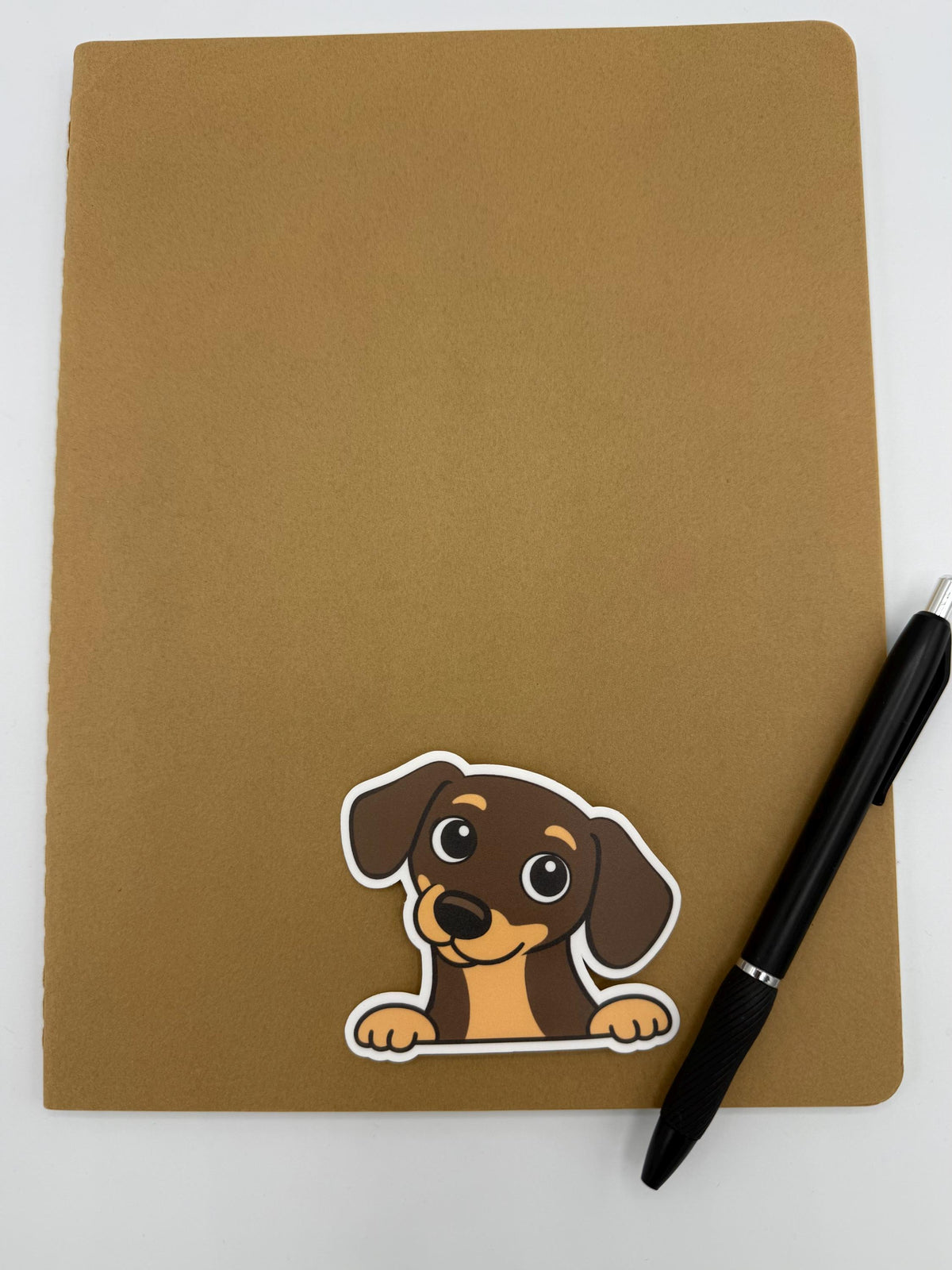 Dachshund Peeking Sticker