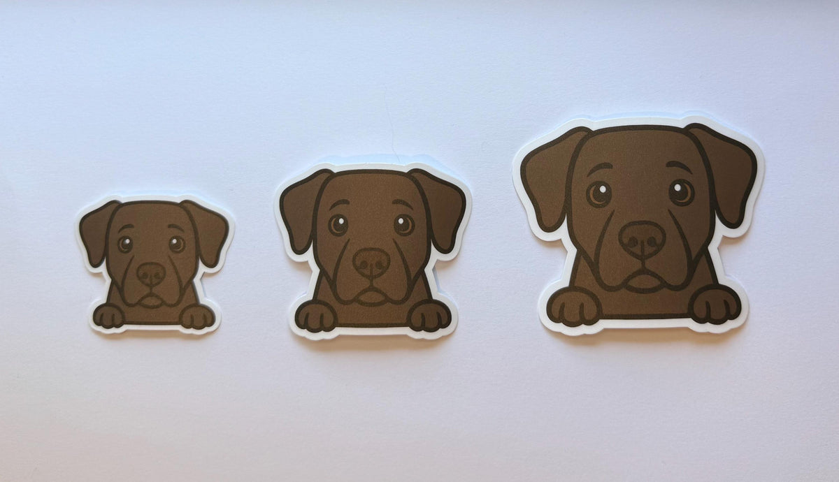 Labrador Retriever Peeking Sticker