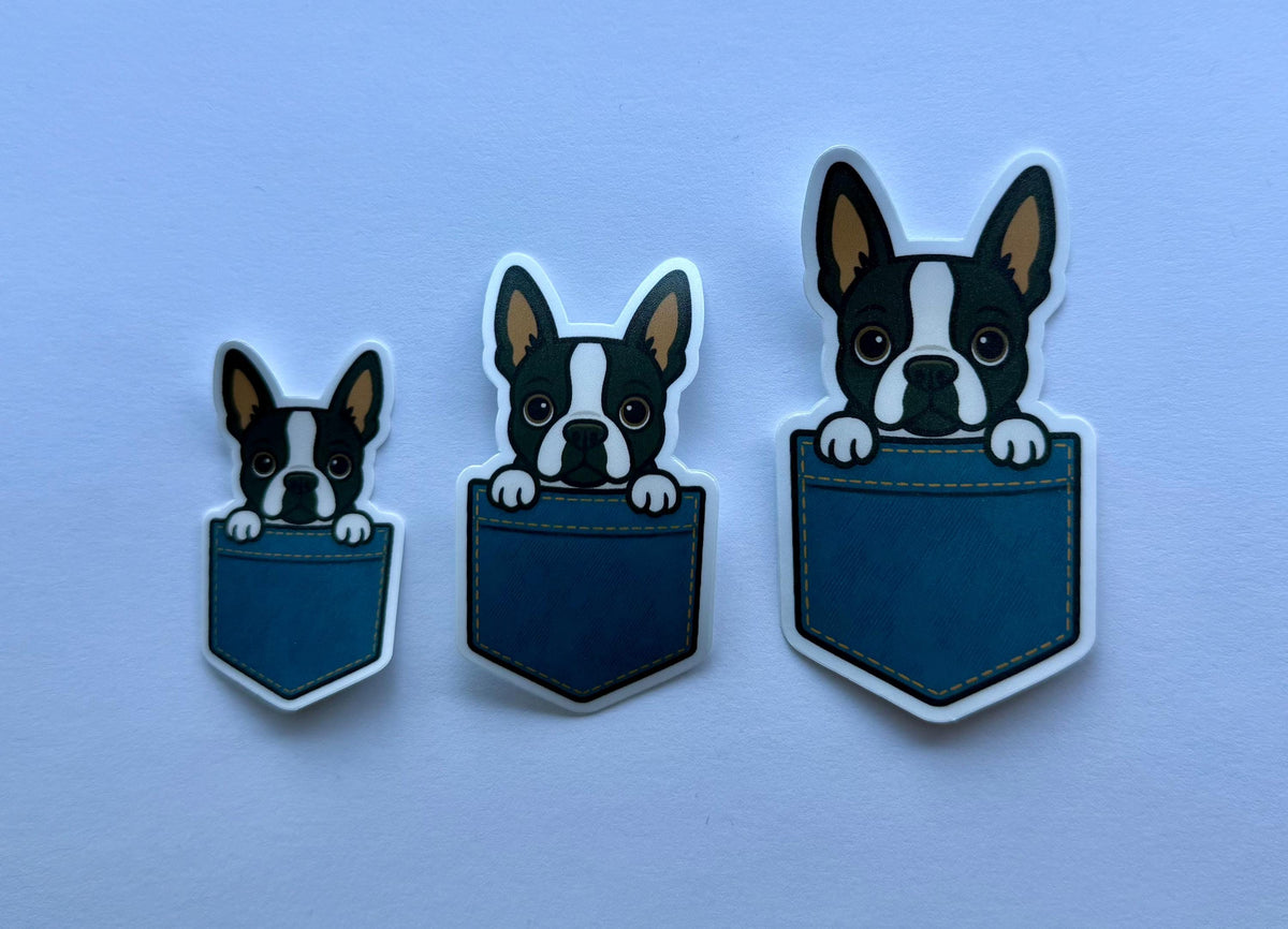 Boston Terrier Peeking Pocket Sticker
