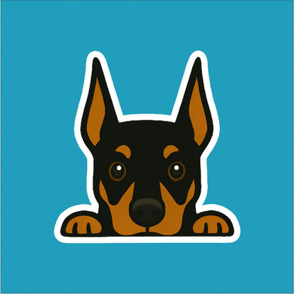 Dobermann Peeking Sticker