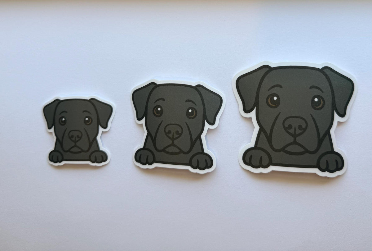 Labrador Retriever Peeking Sticker