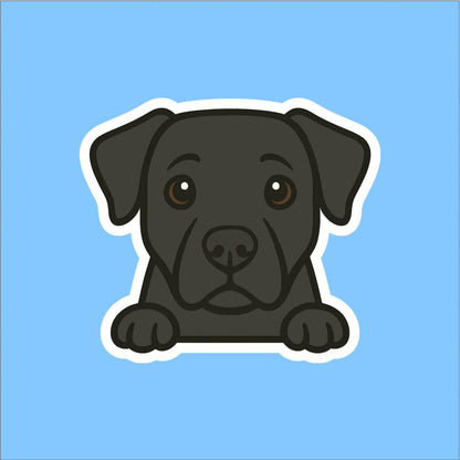 Labrador Retriever Peeking Sticker