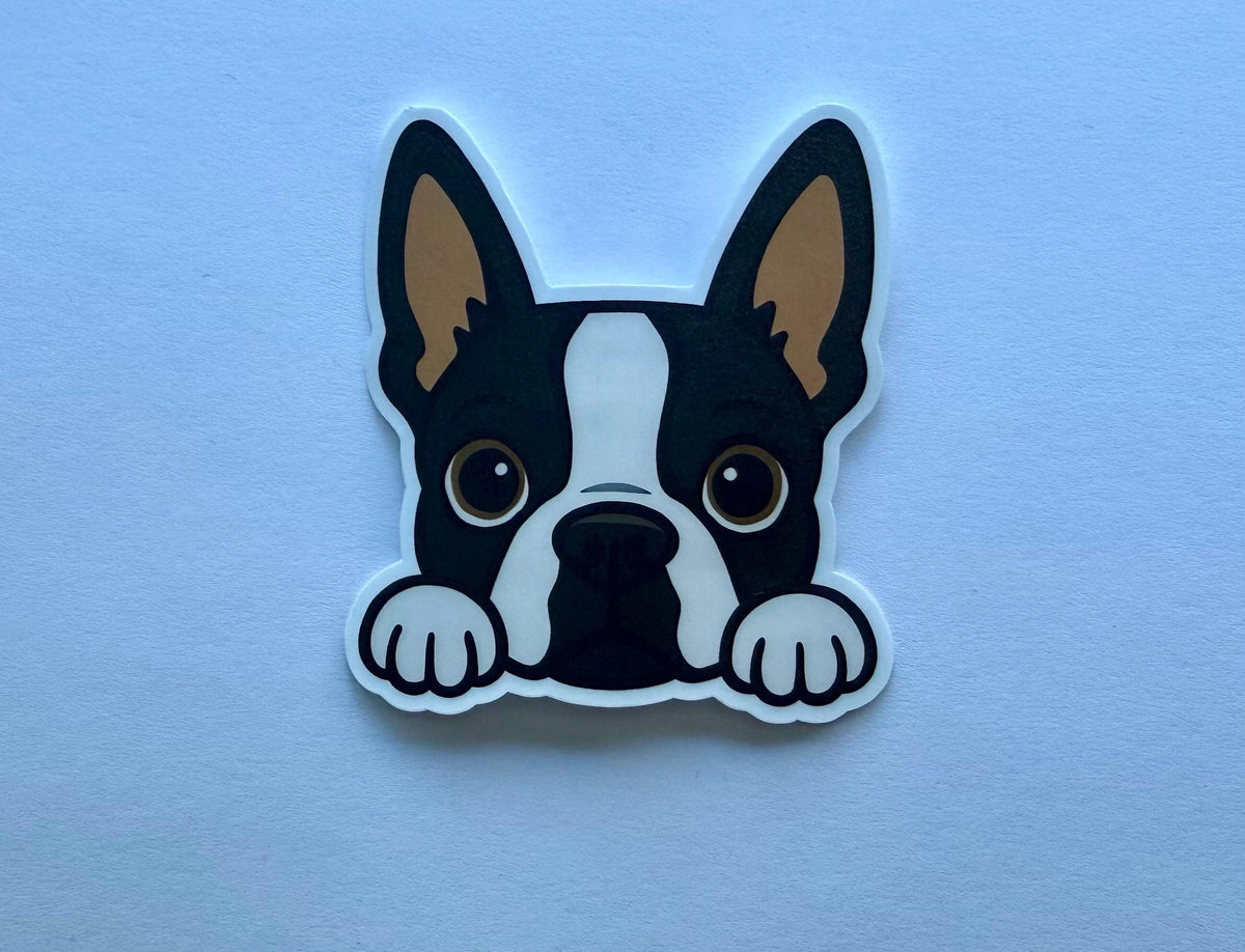 Boston Terrier Peeking Sticker