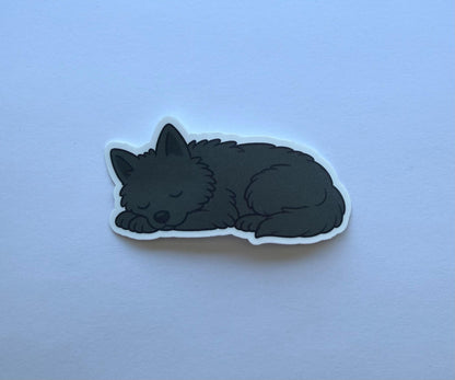 Schipperke Sleeping Sticker