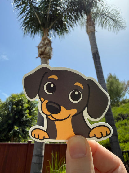 Dachshund Peeking Sticker