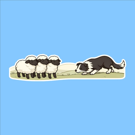 Border Collie Herding Sheep Wrap Sticker