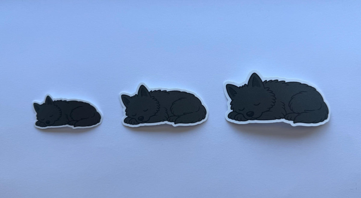 Schipperke Sleeping Sticker