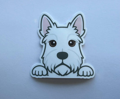 Scottish Terrier Peeking Sticker