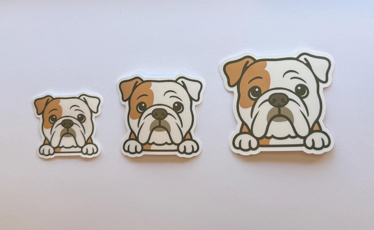 English Bulldog Peeking Sticker