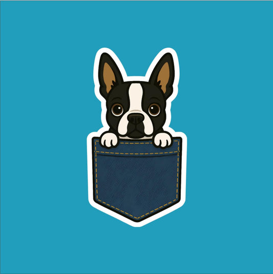 Boston Terrier Peeking Pocket Sticker